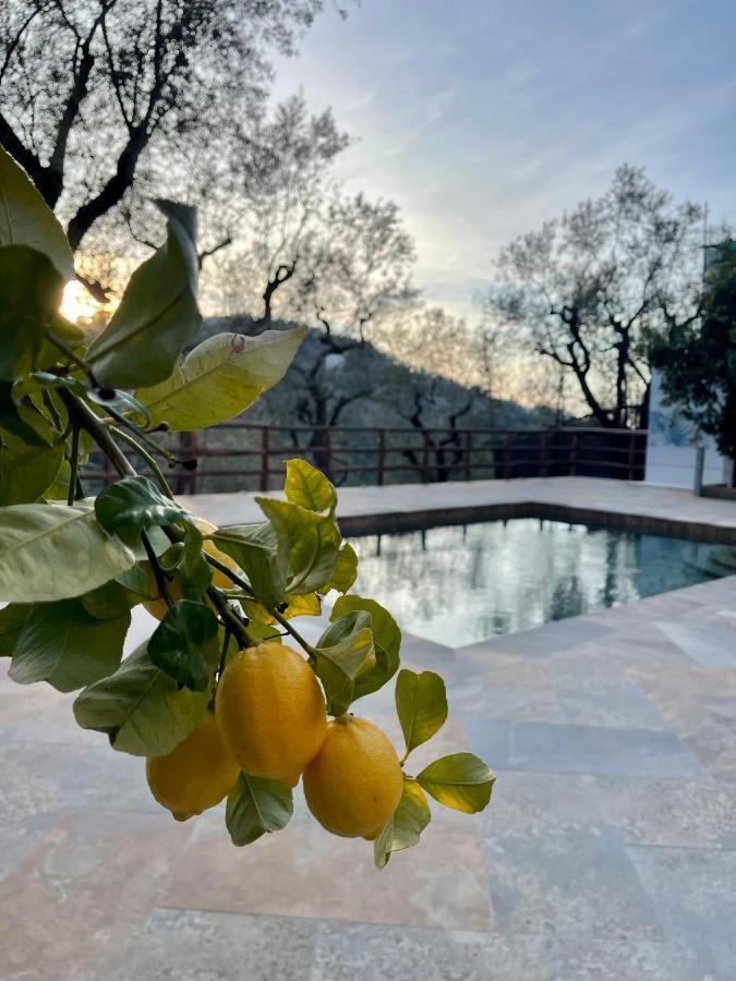 Casa Aprea Holiday home
