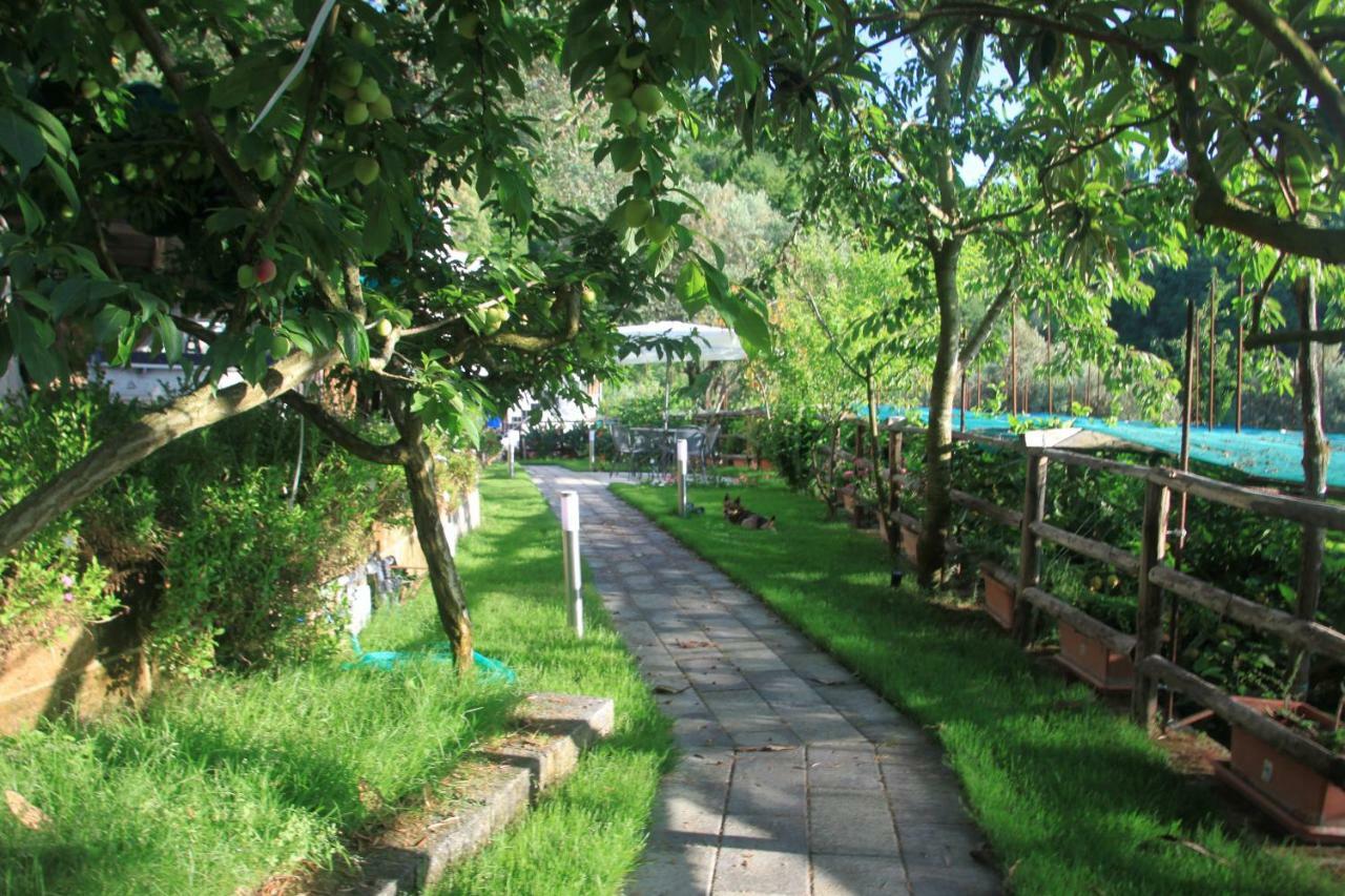 Casa Aprea Holiday home Sorrento
